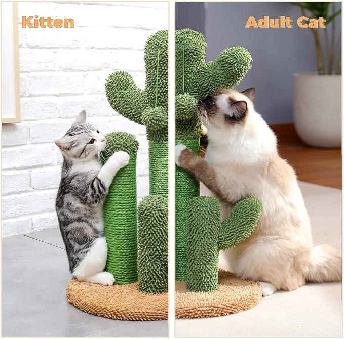PAWZ Road Cactus Cat Scratching Post 23”Cat Scratcher with Toy Ball | Cactus Cat tree with 3 Sisal & Carpet Scratching Posts, Soft Carpet Base & Top, Interactive Ball for Indoor Cats