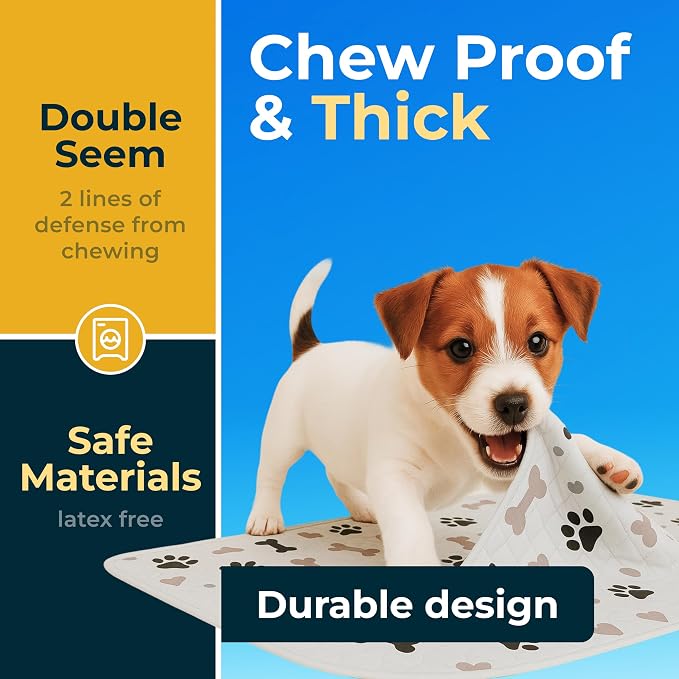 Washable Pee Pads for Dogs - Waterproof Reusable Puppy Pads with Anti-Slip Backing, Pet Training Pad for Puppy Playpen, Crate, Whelping Box, Potty Training (Pack of 2 - 48x48)