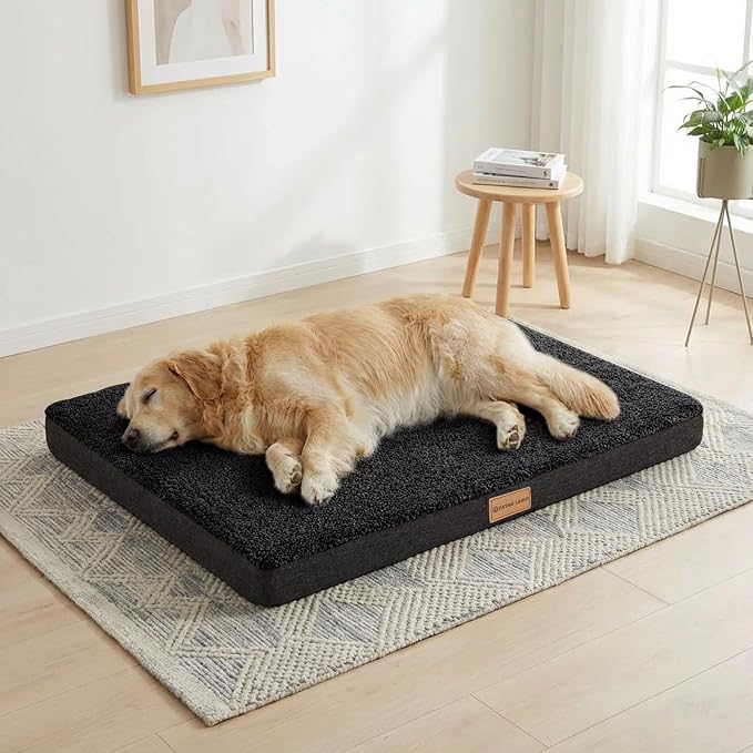 Patas Lague Orthopedic Large Dog Bed Washable Pet Sofa Mat 36''X24'' Black | Egg-Crate Foam Dog Couch For Large Sized Dogs, Waterproof Removable Cover, Soft Pet Crate Bed With Nonskid Bottom