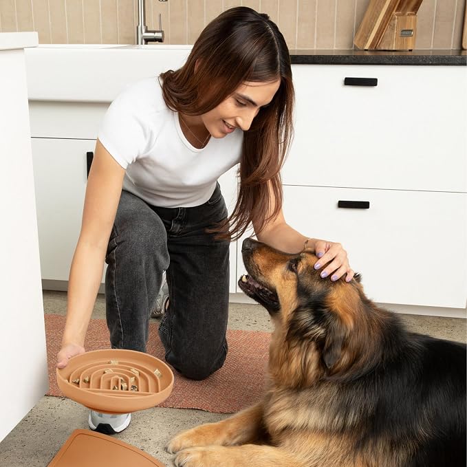 Should We Go? Slow Feeder Dog Bowls - Large Size Silicone Slow Eating Dog Bowl for Puppies & Dogs with Suction Cup -Dishwasher-Safe,Lick Mat Design,Reduces Gulping,for All Breeds,9.5”x1.5”-Terracotta