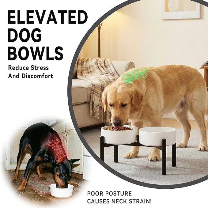 Dog Bowls Elevated - Ceramic Raised Dog Bowl with Non Slip Steel Stainless Stand - No Spill and Heated Feeding Station - Food and Water Dish Set for Medium to Large Pet - Each Holds 7.5 Cups – White