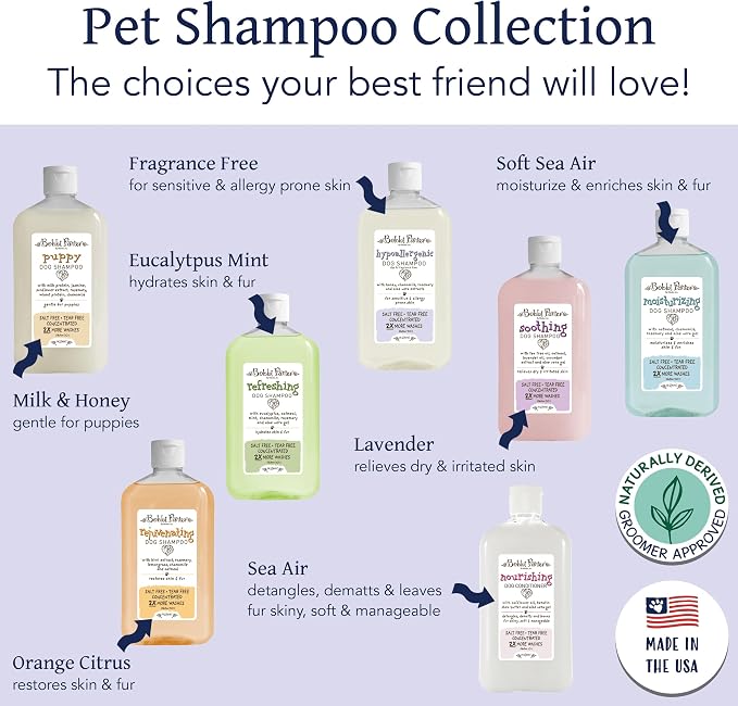 Bobbi Panter Hypoallergenic Dog Shampoo Honey, Aloe Vera, Chamomile & Rosemary – Dye & Fragrance Free Natural Formula for Sensitive & Allergy Skin, Tear-Free, 30:1 Concentrate, Made in USA, 14 oz