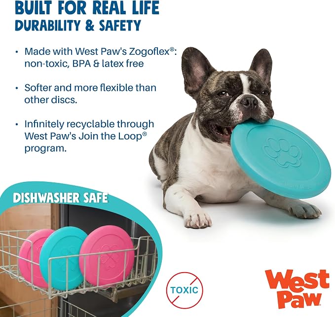 WEST PAW Zogoflex Zisc Dog Flying Disc, High Flying Aerodynamic Disc for Dogs Puppy – Lightweight, Floatable Disc for Fetch, Tug of War, Catch, Play – Doubles as Food/Water Bowl, Small 6.5", Teal