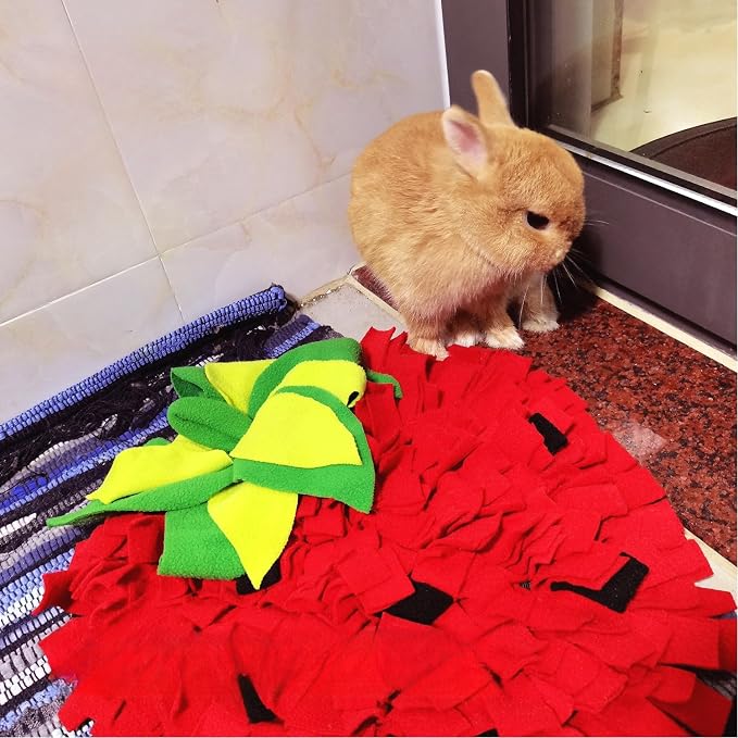 Dog Snuffle Mat Fleece Foraging Fruit Design Mats Small Animals Interactive Feeding Toy Anti Slip Slow Feeder Pet Treat Dispenser for Dogs Rabbits Guinea Pigs (Strawberry)