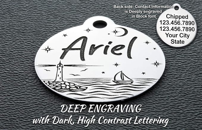 DEEP Custom Stainless Steel Pet ID Tags Front and Back Engraved Dog Tags Personalized for Dogs and Cats (Lighthouse-Round 1-1/4"x1-1/8)