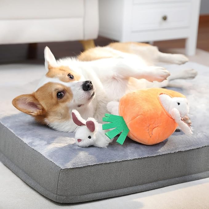 Amazon Basics Interactive Hide and Seek Squeaky Dog Plush Toy with Squeaker for Small Dogs, Rabbit and Carrot, Orange and White, 5-Pack