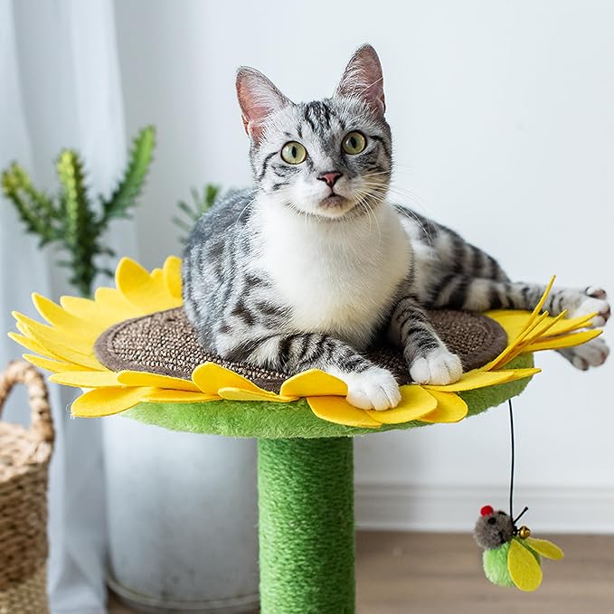 Catry Sunflower 2-in-1 Cat Scratching Post with Convertible Bed & Bee Toy | Aesthetic Sunflower Cat Scratcher with Replaceable sisal Post and Adjustable Flower Pad Ideal for Small to Medium Cats