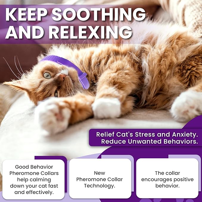 Pheromone Calming Collar for Cats: Breakaway Cat Calming Collar for Anxiety, Separation Stress, Multicat Aggression, Spraying, Meowing - for Indoor Use, Moving & Travel, 4 Pack (Purple)