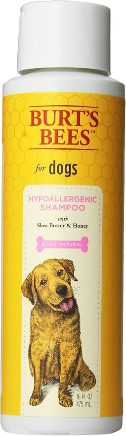 Burts Bees for Pets Hypoallergenic Dog Shampoo, Shea Butter Honey, 16 Fl Oz | Suitable for dogs with allergies, fragrance-free formula, 95% natural origin, sensitive skin and coat