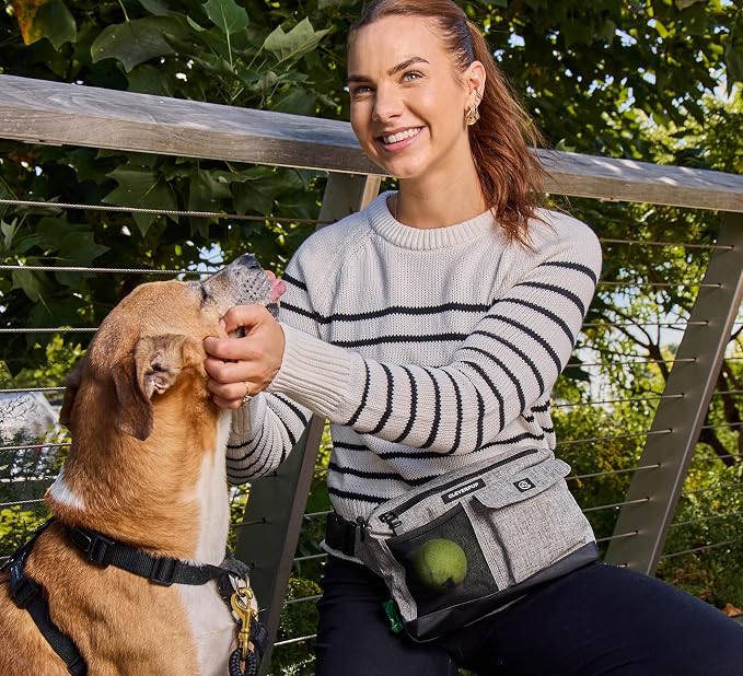 Walk & Train 2-in-1 Dog Walking Bag - Hands-Free Training Crossbody Sling & Fanny Pack with Treat Pouch, Poop Bag Holder, Phone Pockets - Adjustable Waist or Shoulder Strap - Heather Grey