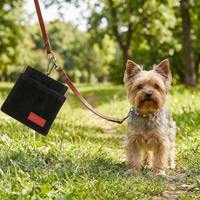 Dog Treat Pouch Black Pocket Sized Pet Training Pouch Training Pouch with Carabiner Buckle Auto Closing Dog Walking Bag Pet Feed Snack Reward for Pet Puppy Travel Outdoor Use