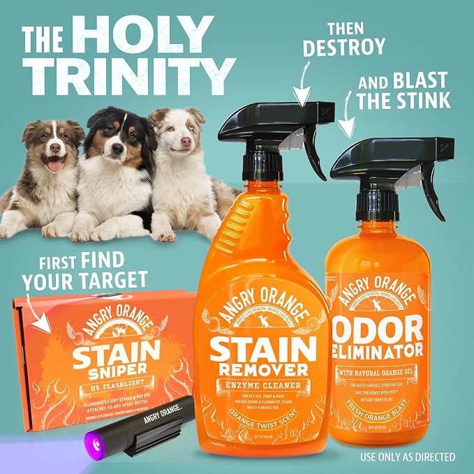 ANGRY ORANGE Pet Stain & Odor Remover Kit for Dog Urine - Enzyme Cleaner - Citrus - 32 oz + UV Flashlight