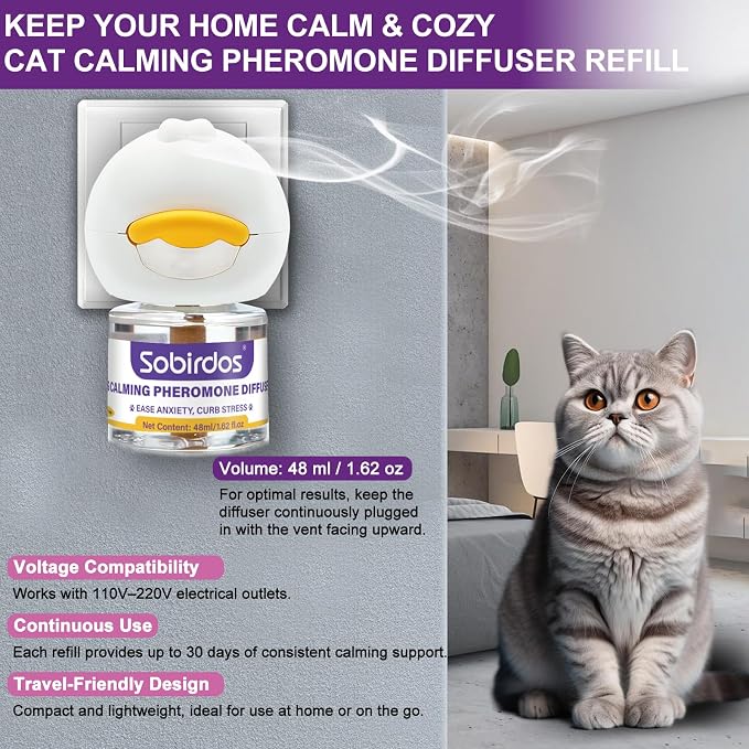 6-in-1 Cat Pheromone Calming Diffuser Kit - Relieve Anxiety, Reduce Fights/Scratching, 2 Plugs + 4 Refills, 120 Days (Purple, L)