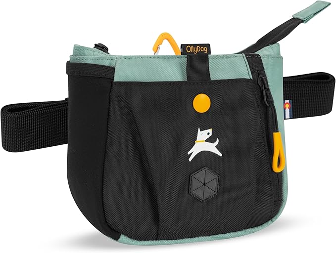 Backcountry Day Bag | Dog Training Treat Pouch | Eco-Friendly Recycled Fabric Fanny Pack with Zipper Closure, Built-in Poop Bag Dispenser & Adjustable Waist Belt (Surf)