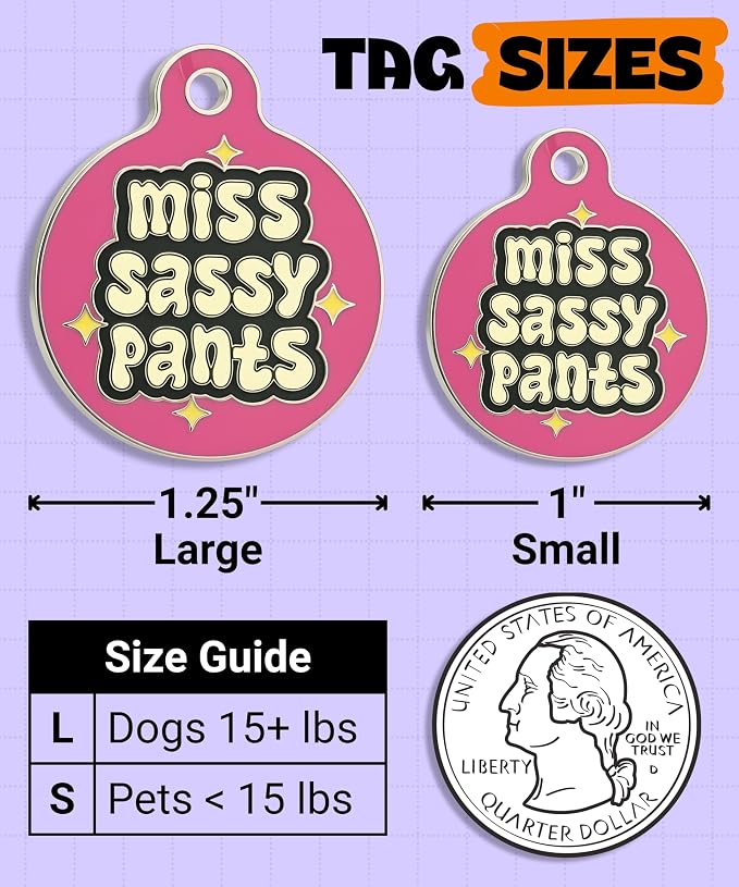 Bad Tags Personalized Dog and Cat ID Tags in 25+ Designs and 2 Sizes - 5 Lines of Custom Engraved Text - Funny Cute Personalized Pet Tags (Miss Sassy Pants, Small (1 inch))