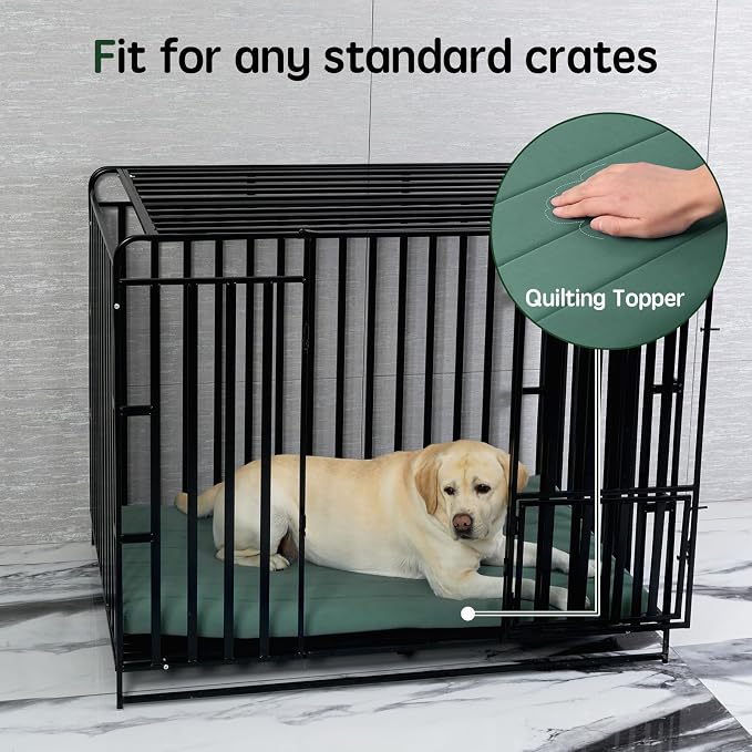 BALANCE Dog Crate Bed, Orthopedic Dog Bed Pad with Waterproof Liner, Washable Crate Foam Pet Mat for Large, Medium, Puppy Dogs Breeds, Mint Leaf, 42"x28"x2"