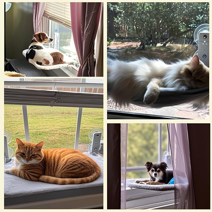 Cat Window Perch, Cordless Foldable Cat Hammock for Indoor Cats with Upgraded Suction Cups Strong Metal Frame Holds Up to 44lbs (M 1PC)