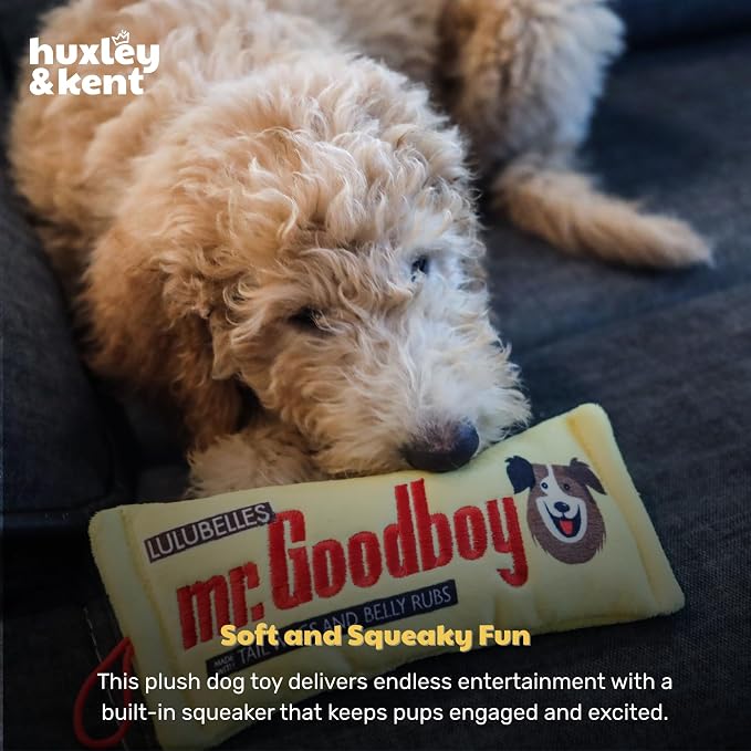 Huxley & Kent Funny Dog Toy w/Squeaker – Power Plush Squeaky Dog Toys for Small, Medium & Large Dogs – Soft Stuffed Animal for Indoor Play & Fetch - Mr Goodboy, Large