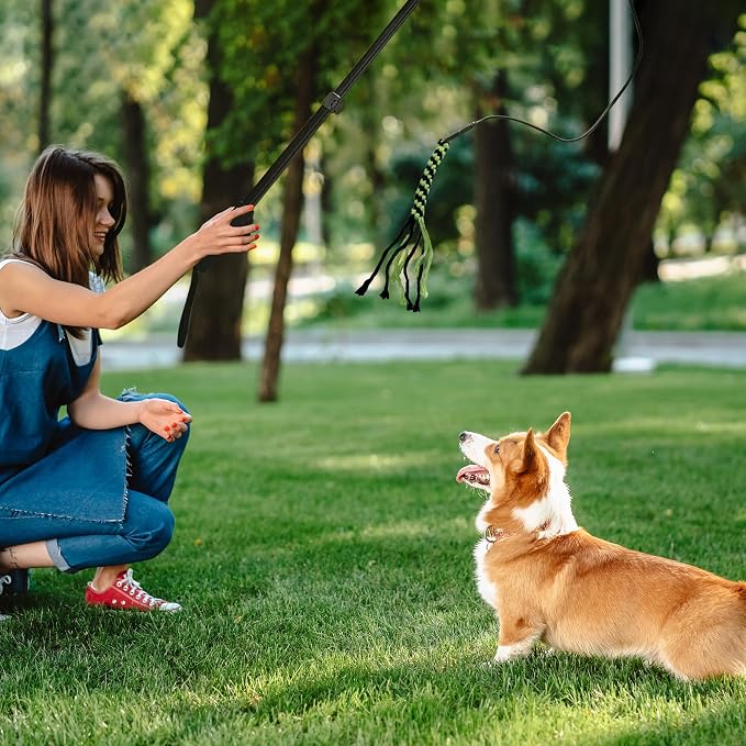 Flirt Pole for Dogs, Interactive Dog Toys Extendable Teaser Wand with Lure Chewing Toy, Chase and Tug of War for Small Medium Large Dogs Training Playing Exercise