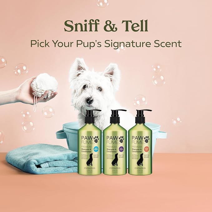 PAWFUME Deshedding Dog Shampoo and Conditioner, Show Dog, 1-Pack | Probiotic pH-balanced formula nourishes, detangles and deep cleans silky coats, salon-quality Shampoo for Dogs