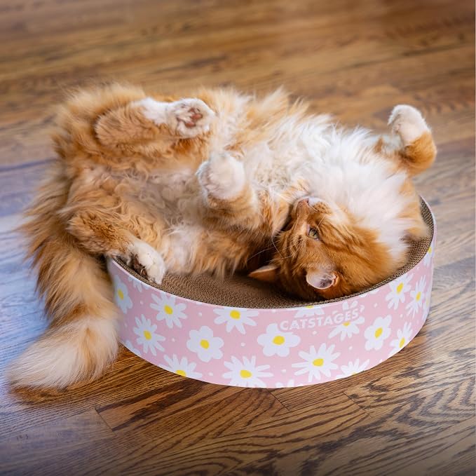 Catstages Scratch & Snuggle 2-in-1 Cat Scratcher & Lounger, Corrugated Cardboard Scratching Pad, Bowl-Shaped Design for Kittens & Indoor Cats up to 15 lbs, 16"