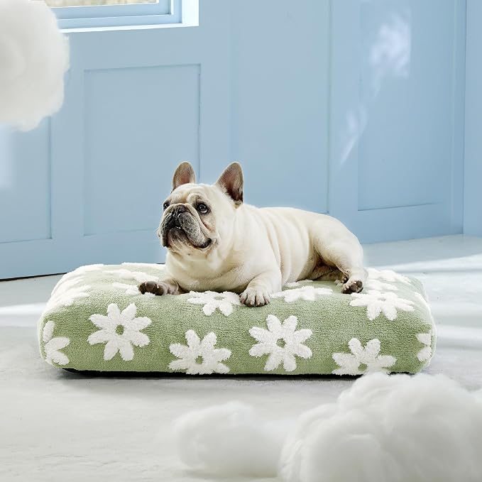 LE SURE Dog Beds Medium Size-Thick Shredded Chopped Foam Pet Bed as Gift for Indoor with Removable Cover, Cute Modern Fuzzy Plush & Anti Slip Bottom, Green