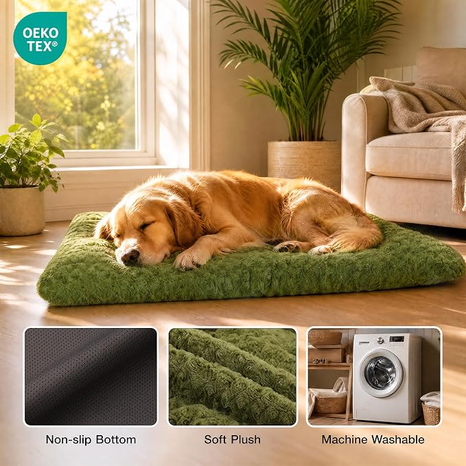 Exsnugy Washable Dog Bed Mat Medium Size Fluffy Pet Crate Pad 36x23 | Non-Slip Bottom Kennel Beds Ultra Soft Comfy Sleeping Mattress for Large Medium Small Dogs Green
