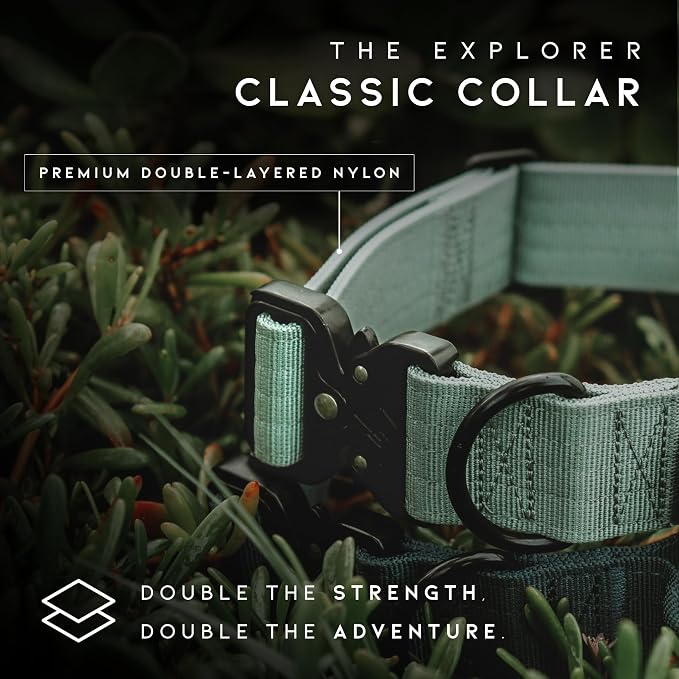 Made to ROAM Premium Dog Collar - Adjustable Heavy Duty Nylon Collar with Quick-Release Metal Buckle (Maine Marina, Classic Size 2)