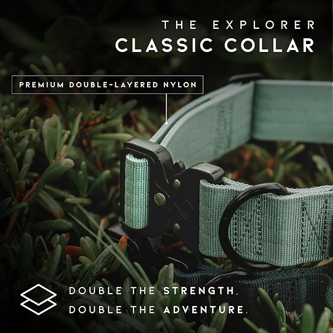 Made to ROAM Premium Explorer Control Collar - Adjustable Heavy Duty Nylon Dog Collar with Quick-Release Metal Buckle and Handle (California Horizon, Control Size 4)