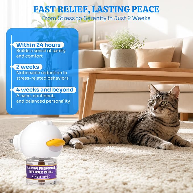 Cat Calming Pheromone Diffuser Starter Kit, 90-Day, for Multi-Cat Homes | Drug-free plug-in calms stress, hiding & aggression, 3 refills for 90 days; safe for kittens & humans, covers 700 sq ft