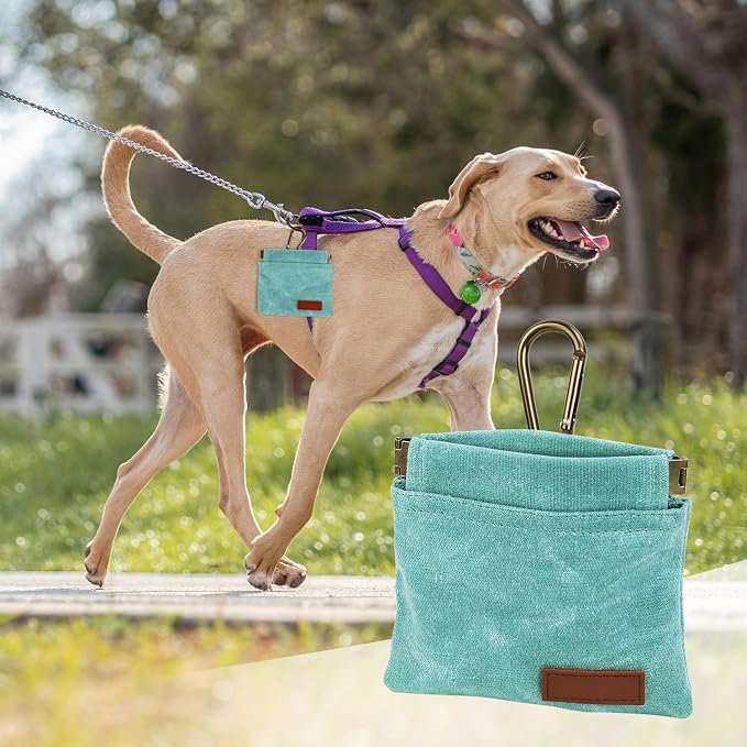 1 Pcs Pocket Pet Training Pouch,Dog Treat Pouch (Cyan) | For Portable Pet Dog Walking Bag, Travel or Outdoor Use