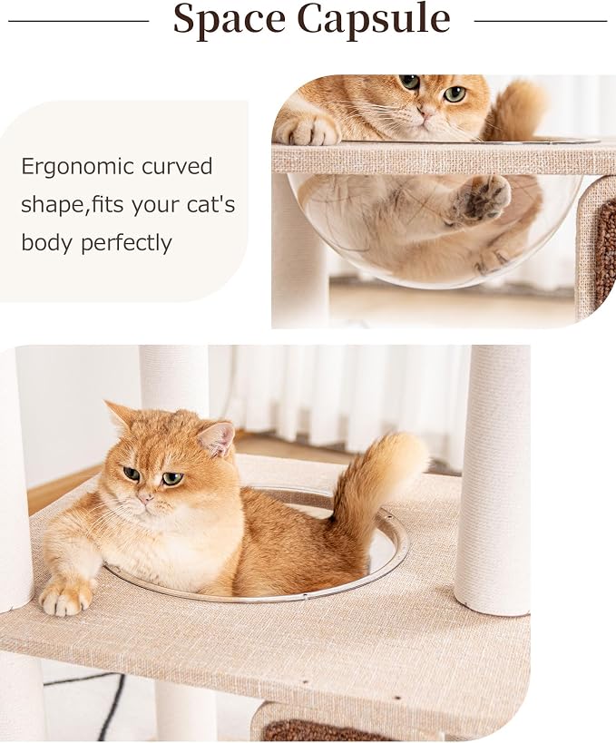 53'' Cat Tree for Large Cat, Modern Senior Friendly Cat Tower with Wide Shelves Low Step, Cotton Scratching Posts, Super Sturdy Base, Cozy Perches, and Interactive Toys (Ivory)