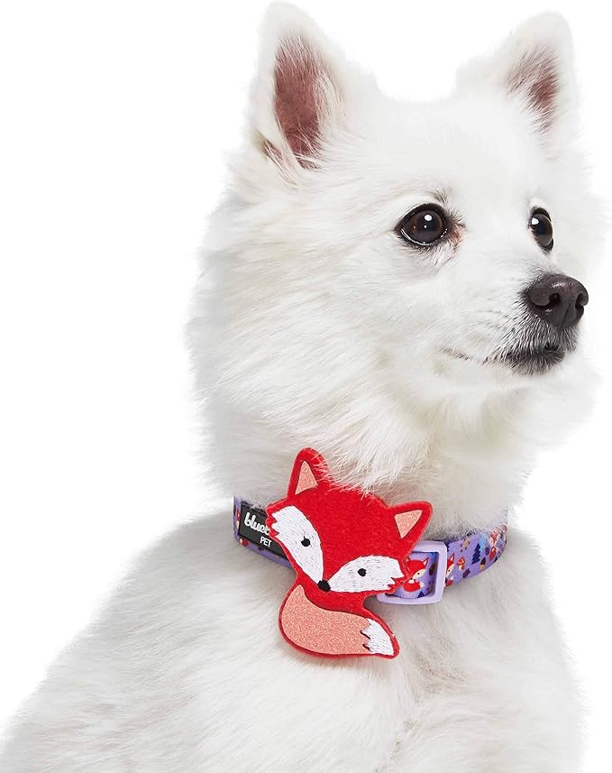 Blueberry Pet Red Fox Adjustable Dog Collar with Detachable Décor, Large, Neck 18"-26"