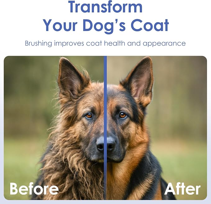 AKC Double-Sided Dog Grooming Brush, Bristle & Pin, Dogs & Cats | Soft bristles and stainless steel pins remove tangles, shedding and loose fur for all coat types.