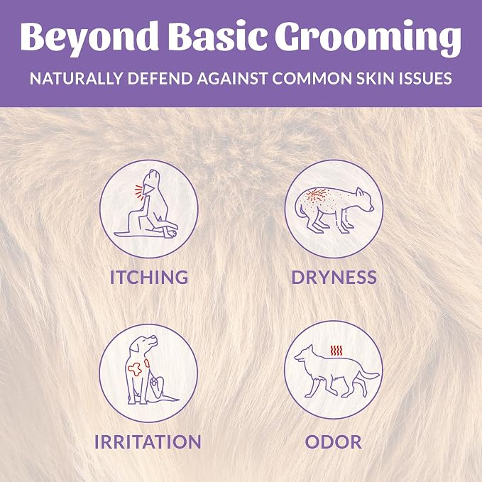 SKOUT'S HONOR Probiotic Dog Shampoo and Conditioner - Lavender, 16 oz | Hydrating, Natural 2-in-1 for Itchy Skin, Microbiome-Friendly with Avocado Oil & Omega-3s, Paraben & Sulfate-Free