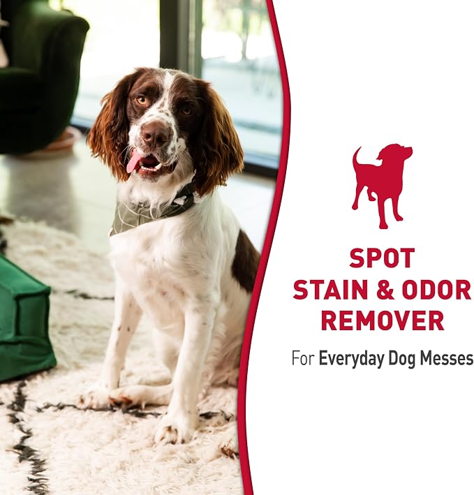 Nature’s Miracle Dog Stain & Odor Remover, Enzymatic Cleaner, 32 oz | Tough on Dog Urine, Feces, Vomit, Drool and Other Organic Stains and Odors, For Multiple Surfaces, Fresh Scent