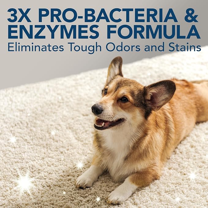 Simple Solution Extreme Stain & Odor Remover, Enzyme Stain Cleaner, Gallon | Dog Stain & Odor Remover, Pet Urine Enzyme Cleaner, Dog Urine Carpet Cleaner, Carpet Spray Cleaner, Pet Odor Eliminator