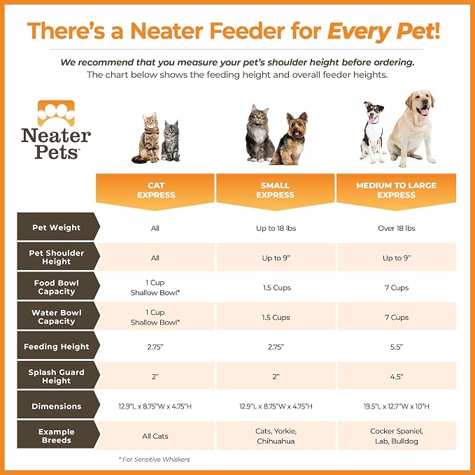 Neater Feeder Express Mess Proof Cat Bowls Elevated, No Spill Feeding Station, Stainless Steel Dishes for Food and Water, Raised Bowls for Indoor Cats, No Fatigue Whisker Friendly Dish, Grey
