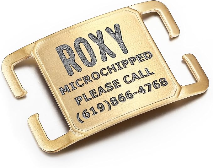 Rugged & Refined: Immovable Slide-On Pet ID Tag - Silent No-Noise Design - Deep Laser Engraved Horology-Grade Steel - Medium | PVD Gold