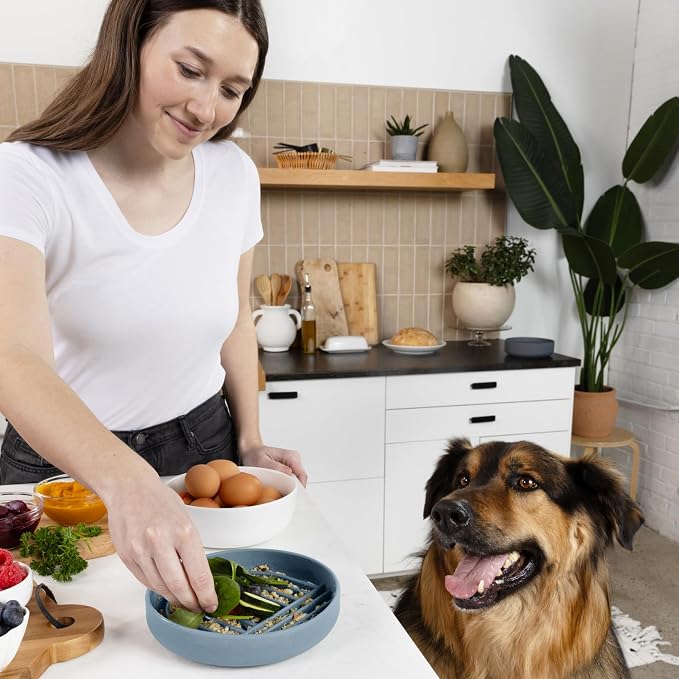 Should We Go? Slow Feeder Dog Bowls - Medium Size Silicone Slow Eating Dog Bowl for Puppies & Dogs with Suction Cup -Dishwasher-Safe, Lick Mat Design, Reduces Gulping,for All Breeds,7.5”x1.5”- Ocean