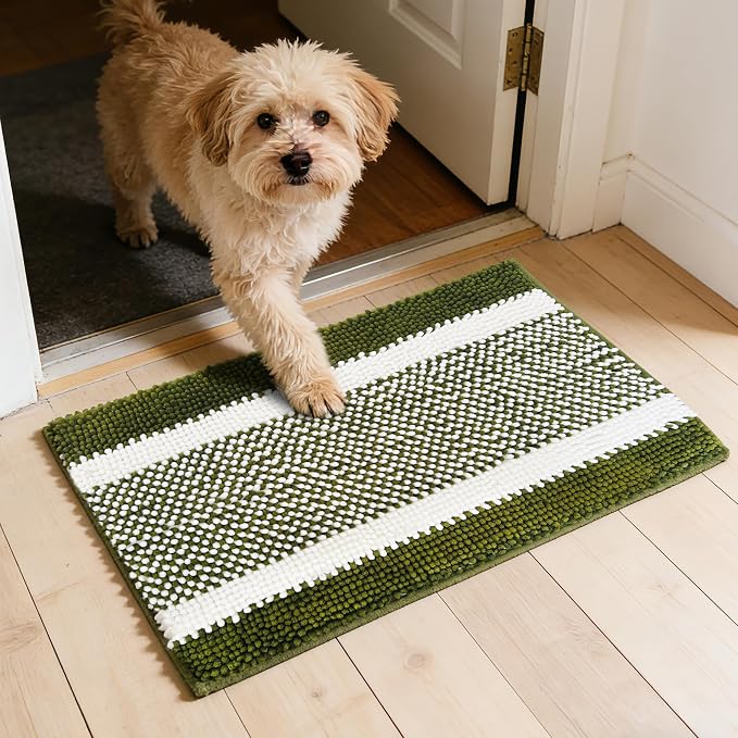 Dog Door Mat for Muddy Paws - Absorbent Quick-Dry Non-Slip Washable Chenille Pet Rug, Indoor Entryway Mat for Front Door & Crate (Green White, 30" L*18" W)