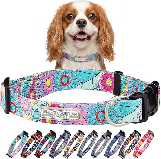 Lucky Love Dog Collars, Cute Small Dog Collars for Female Dogs, Part of Purchase Donated to Rescue, Caroline, Small