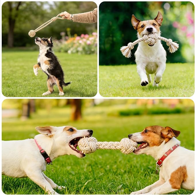 Dog Rope Toy for Small Dog 3pcs, Natural Chew Toys for Puppy, Medium & Small Dogs, Tug of War Rope for Puppies Clean & Relieve Teething