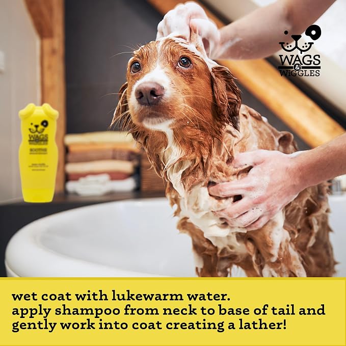 Wags & Wiggles Soothe Oatmeal Dog Shampoo, Warm Vanilla, 16 Oz | pH-balanced colloidal oatmeal formula, for dry, itchy, or sensitive skin, SLS and paraben free daily