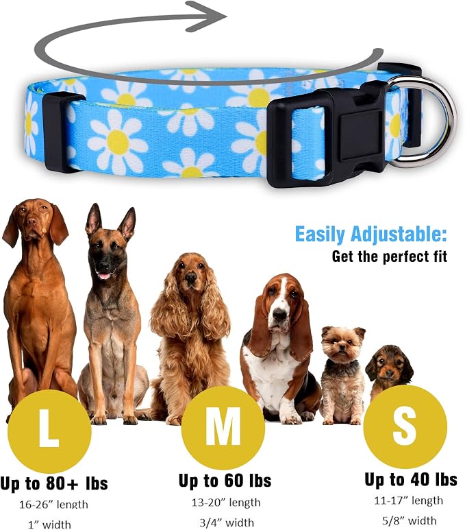 Native Pup Flower Dog Collar, Adjustable Small Medium Large, Cute Girl Female Summer Spring Pretty Designer Puppy Essentials Accessories, Pink Floral Blue Daisy Rose (Small, Blue Daisy)