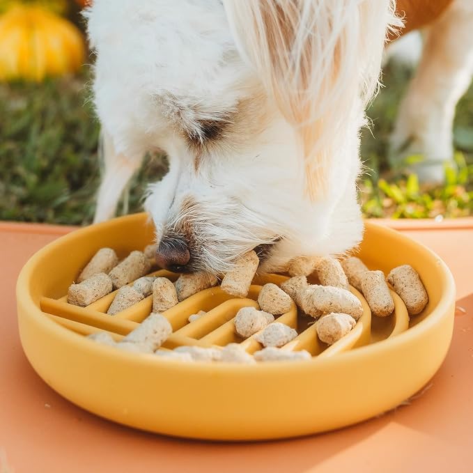 Should We Go? Slow Feeder Dog Bowls - Small Size Silicone Slow Eating Dog Bowl for Puppies & Dogs with Suction Cup -Dishwasher-Safe, Lick Mat Design, Reduces Gulping, for All Breeds, 6”x1.25”- Honey