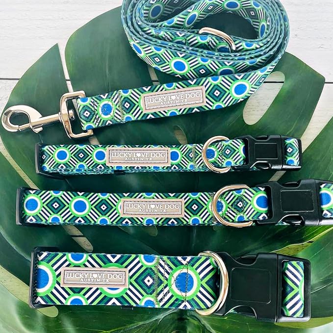 Lucky Love Dog - Easy Click Buckle Dog Collar with Leash Set Combo, Durable & Comfortable for Male & Female Dogs, Pet Collar for Small Dogs, Secure Fit - Leo Combo, XS