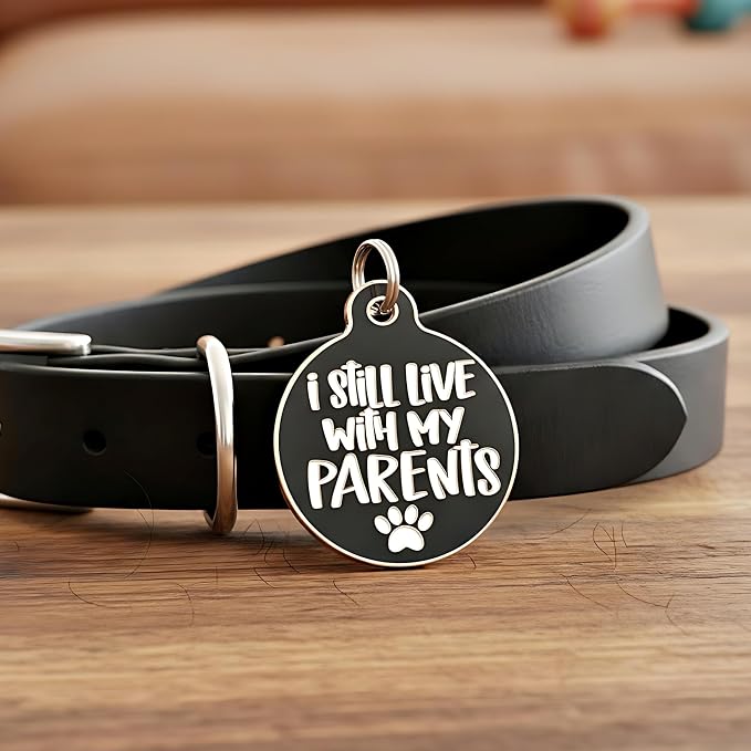 Bad Tags Personalized Dog and Cat ID Tags in 25+ Designs and 2 Sizes - 5 Lines of Custom Engraved Text - Funny Cute Personalized Pet Tags (I Still Live with My Parents, Large (1.25 inch))