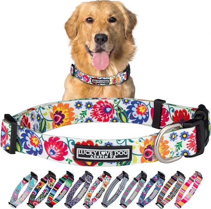 Lucky Love Dog - Adjustable Dog Collar with Easy Click Buckle for Large Ones, Durable, & Comfortable for Male & Female Dogs, Pet Collar for Puppies & Adult Dogs - Ladybird, Large