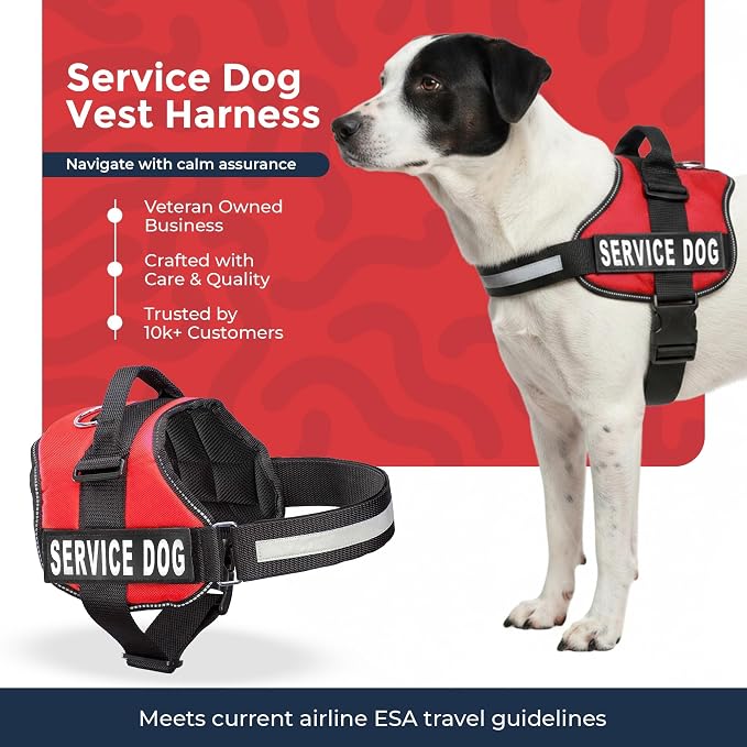 Industrial Puppy Service Dog Vest Harness - Durable & Adjustable Vest for Dog with Reflective Straps, Removable Patches, 50 ADA Cards, Handle & D-Ring, Travel and Daily Use, Bright Red, Medium 25"-32"